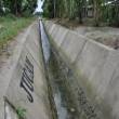 Inauguran mejoramiento y rehabilitaci&oacute;n de canal de riego en el Sector Ucrania - Rioja - 