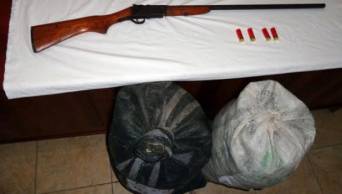 Decomisan 115 kilos de hoja de coca ilegal en carretera Uchiza - Los �ngeles, Tocache