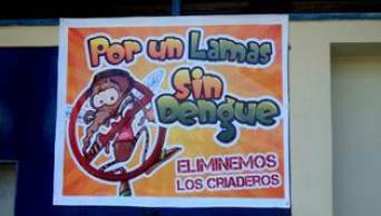 Lanzan interesante iniciativa de lucha frontal contra el dengue desde las instituciones educativas de Lamas, en San Mart&iacute;n