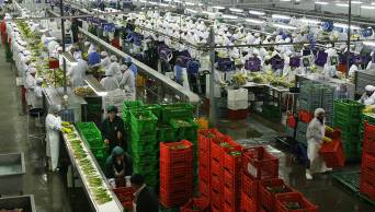 Gran expectativa por el II Congreso Macrorregional de  Agroexportaci&oacute;n, a realizarse en Chiclayo el 20 y 21 de junio
