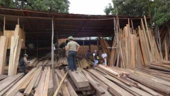 SUNAT interviene aserraderos en Tarapoto para incautar madera comercializada ilegalmente