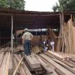 SUNAT interviene aserraderos en Tarapoto para incautar madera comercializada ilegalmente - 