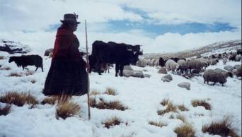 SENAMHI advierte que Heladas se intensificar&aacute;n en zonas altas de Ayacucho entre el 1 y 4 de agosto