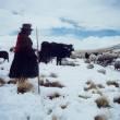 SENAMHI advierte que Heladas se intensificar&aacute;n en zonas altas de Ayacucho entre el 1 y 4 de agosto - Recomiendan no exponerse al cambio brusco de temperatura. De presentarse alguna infecci&oacute;n respiratoria, acudir de inmediato al Centro de Salud m&aacute;s cercano