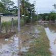 Piden declarar en emergencia la regi&oacute;n San Mart&iacute;n afectada por inundaci&oacute;n que arras&oacute; 800 hect&aacute;reas de arroz y m&aacute;s de 300 viviendas - El alarmante desborde del r&iacute;o Huallaga afect&oacute; viviendas y terrenos de cultivo en diversas localidades de casi la mayor&iacute;a de las provincias sanmartineneses