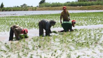 Inundaciones dejaron, hasta el momento,  m&aacute;s de 140 millones de nuevos soles en p&eacute;rdidas en la regi&oacute;n San Mart&iacute;n