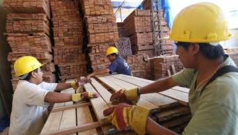 Exportaci&oacute;n de madera aserrada creci&oacute; 17%  el 2014, tras cerrar en 67.1 millones de d&oacute;lares y lleg&oacute; a 38 mercados, seg&uacute;n Adex