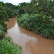 Aprueban propuesta t&eacute;cnica de concesi&oacute;n del &aacute;rea de conservaci&oacute;n denominada "El Quinillal", en San Mart&iacute;n - Ocupa un &aacute;rea de 10,557 hect&aacute;reas y est&aacute; ubicado entre bosques secos tropicales de las provincias de Picota y Bellavista en el Huallaga Central