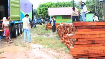 No existe plazo para regularizar transporte de madera que carezca de la documentaci&oacute;n oficial sobre su procedencia