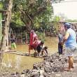 Fuertes lluvias y calor aumentan riesgo de casos de dengue y chikungunya en la regi&oacute;n San Mart&iacute;n, advierte el MINSA - Un equipo multidisciplinario se encuentra en Moyobamba, para impulsar un plan de acci&oacute;n de prevenci&oacute;n y control regional contra estos dos males.
