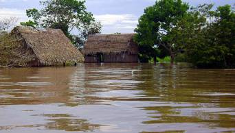 Advierten posibles inundaciones en San Mart&iacute;n, Loreto y Hu&aacute;nuco ante amenaza de desborde del r&iacute;o Huallaga
