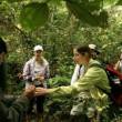 Turismo de naturaleza registra progresivo crecimiento en nuestro pa&iacute;s, en los &uacute;ltimos a&ntilde;os, Seg&uacute;n Sernanp - Ello contribuye al desarrollo econ&oacute;mico y social de las comunidades m&aacute;s alejadas que se encuentran en las &aacute;reas naturales protegidas