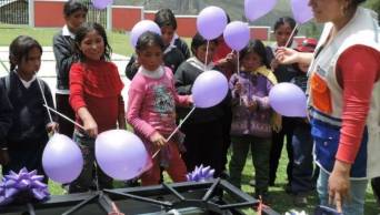 Durante el a&ntilde;o 2015 distribuir&aacute;n cocinas a gas a m&aacute;s de 19 mil escuelas de diversas zonas urbanas del Per&uacute;