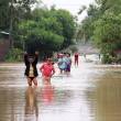 R&iacute;o Huallaga alcanz&oacute; su m&aacute;ximo caudal en lo que va del mes, el s&aacute;bado &uacute;ltimo, en Chazuta, regi&oacute;n San Mart&iacute;n - Las recientes lluvias se concentraron sobre esta cuenca que involucra las regiones de Hu&aacute;nuco y San Mart&iacute;n, originando el incremento de su caudal, indic&oacute; el Senamhi