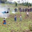 Desalojan a 500 invasores de un terreno perteneciente a la Universidad  Agraria de La Molina, en Tarapoto - Tras el desalojo, personal policial de la USE de Tarapoto permanece en el predio, para impedir que vuelvan a ingresar los invasores