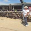 Escolares de 10 colegios de Mariscal C&aacute;ceres se beneficiar&aacute;n con Rutas Solidarias-Bicicletas Rurales - A todos los beneficiarios, el programa les proveer&aacute; de bicicleta, casco y chaleco de seguridad, adem&aacute;s de su gorro y mochila, seg&uacute;n se inform&oacute;.