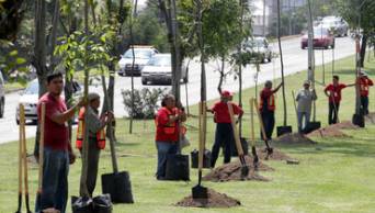 Ministerios de Educaci&oacute;n y del Ambiente iniciar&aacute;n proceso de validaci&oacute;n del Plan Nacional de Educaci&oacute;n Ambiental