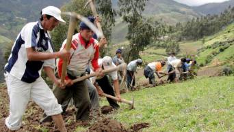 Conveagro conf&iacute;a en que la asociatividad permitir&aacute; alcanzar mayores niveles de producci&oacute;n en el sector agrario