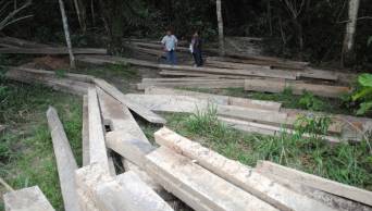 Decomisan 153 mil pies tablares de madera, valorizados en m&aacute;s de medio mill&oacute;n de soles, en la regi&oacute;n San Mart&iacute;n