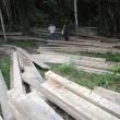 Decomisan 153 mil pies tablares de madera, valorizados en m&aacute;s de medio mill&oacute;n de soles, en la regi&oacute;n San Mart&iacute;n - Todo lo decomisado se distribuir&aacute; a instituciones educativas p&uacute;blicas que lo requieran para la refacci&oacute;n de tribunas y mobiliario escolar, se inform&oacute;.
