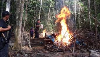 Destruyen Laboratorio r&uacute;stico de elaboraci&oacute;n de droga en el distrito de Nuevo Progreso, provincia de Tocache
