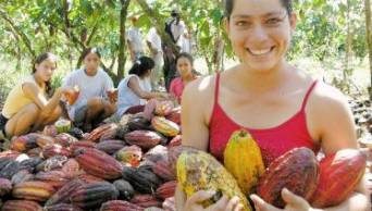 Buscan dinamizar crecimiento y fortalecimiento de las organizaciones productoras de cacao, en San Mart&iacute;n