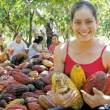 Buscan dinamizar crecimiento y fortalecimiento de las organizaciones productoras de cacao, en San Mart&iacute;n - El PEAM y la ALIANZA CACAO PERU, realizaron evento de capacitaci&oacute;n para el personal t&eacute;cnico y grupos de l&iacute;deres cacaoteros del Alto Mayo