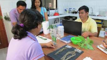 En San Mart&iacute;n realizan investigaci&oacute;n para clonaci&oacute;n de plantas de caf&eacute; con alta productividad y tolerancia a la roya
