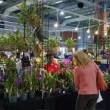 Agro Oriente Viveros, de Moyobamba participar&aacute; en Festival de las Orqu&iacute;deas Redland Internacional, en Estados Unidos - Es la &uacute;nica empresa de la selva peruana en este evento a realizarse del 15 al 17 de mayo, con la participaci&oacute;n de m&aacute;s de 60 empresas de todo el mundo