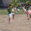 Entregan materiales deportivos a escuelas de f&uacute;tbol de las provincias de Lamas y Tocache, en la regi&oacute;n San Mart&iacute;n - Actividad promovida por Devida en el marco del proyecto "Fortalecimiento del Capital Social en zonas productoras de palma aceitera", se inform&oacute;