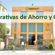 Exigen al Congreso apruebe facultades para que la Unidad de Inteligencia Financiera supervise a las cooperativas de ahorro y cr&eacute;dito - "A nuestro criterio es un proyecto urgente porque las cooperativas no tienen una supervisi&oacute;n efectiva", asever&oacute; el superintendente adjunto de la UIF