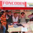 Foncodes financiar&aacute; proyectos de desarrollo en m&aacute;s de 90,000 hogares rurales, algunos de ellos en Tarapoto - Se trata de los proyectos especiales Haku Wi&ntilde;ay (para la sierra) y Noa Jayatai (para la selva) que se ejecutar&aacute;n en 22 regiones del pa&iacute;s hasta fines del 2015