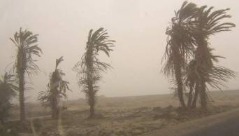 A partir de hoy martes 7 de abril, la velocidad del viento aumentar&aacute; en la costa norte y sur del pa&iacute;s, seg&uacute;n Senamhi