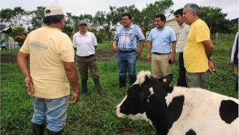 Este a&ntilde;o el PEAM Implementar&aacute; acciones para mejorar cadena productiva y producci&oacute;n lechera en el Alto Mayo