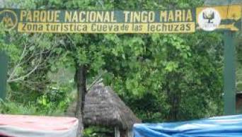 Con actividades art&iacute;sticas, culturales y gastron&oacute;micas, promueven visitas al Parque Nacional Tingo Mar&iacute;a, por sus 50 a&ntilde;os de creaci&oacute;n