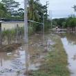 El Huallaga cumple 87 d&iacute;as en alerta roja y contin&uacute;a riesgo de inundaci&oacute;n, sostuvo experto del Servicio Nacional de Meteorolog&iacute;a e Hidrolog&iacute;a (Senamhi) - 