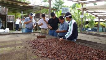 M&aacute;s de 3 mil cacaoteros del Bajo Huallaga, en San Mart&iacute;n, se benefician con instalaci&oacute;n de m&oacute;dulos de pos cosecha