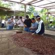 M&aacute;s de 3 mil cacaoteros del Bajo Huallaga, en San Mart&iacute;n, se benefician con instalaci&oacute;n de m&oacute;dulos de pos cosecha - Inversi&oacute;n asciende a m&aacute;s de 215 mil nuevos soles con aportes de Devida, la Direcci&oacute;n Regional de Agricultura de San Mart&iacute;n y las organizaciones beneficiarias.