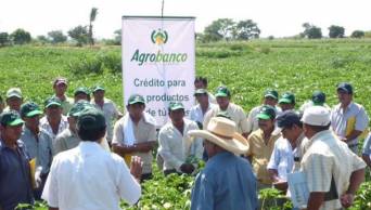 Gobierno Regional de San Mart&iacute;n y Agrobanco impulsan  cr&eacute;ditos por 95 millones para financian a 11 mil productores agrarios