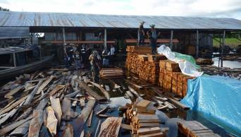 En exitoso operativo binacional Per&uacute; y Brasil contra la tala ilegal, decomisaron cantidad de madera en la regi&oacute;n Loreto