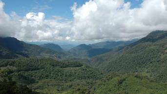 Destacan potencial del �rea Natural Protegida (ANP) del Bosque del Alto Mayo al brindar de recurso h&iacute;drico a 200 mil personas