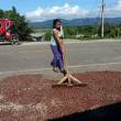 Reforestar&aacute;n 2,800 hect&aacute;reas en provincias de Ucayali y Hu&aacute;nuco con inversi&oacute;n de US$ 800,000 - 
