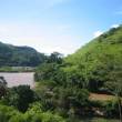 Reconocen al Bosque Ronsoco Cocha, en Moyobamba, San Mart&iacute;n, como nueva �rea de Conservaci&oacute;n Privada (ACP) - La intangibilidad de su vegetaci&oacute;n contribuye a la formaci&oacute;n de microclimas que favorecen la presencia de especies de fauna silvestre como el sajino y la sachavaca
