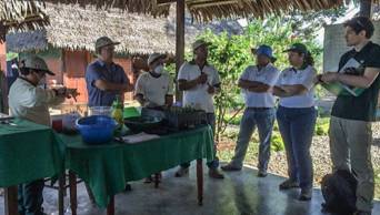 Promueven el financiamiento de plantaciones forestales con uso de tecnolog&iacute;a, en las regiones Ucayali y Hu&aacute;nuco