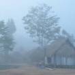 Desde este lunes 15 de junio, la Selva sur registrar&aacute; tercer friaje del a&ntilde;o, seg&uacute;n pron&oacute;stico del Senamhi - Este fen&oacute;meno generar&aacute; un descenso moderado de la temperatura m&aacute;xima (diurna) en las regiones de Madre de Dios, Cusco y Puno, principalmente.