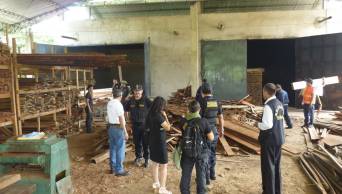 M&aacute;s de 60 mil pies tablares de madera, de procedencia ilegal, fueron incautados en 10 aserraderos de Tarapoto