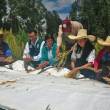 Per&uacute; sigue consolid&aacute;ndose como la primera potencia a nivel mundial en la producci&oacute;n y exportaci&oacute;n de quinua - Este a&ntilde;o, las exportaciones del denominado "Grano de los Incas", superan los 200 millones de d&oacute;lares y apunta a conquistar nuevos mercados