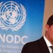 Por tercer a&ntilde;o consecutivo Per&uacute; registr&oacute; una disminuci&oacute;n acumulada del 30% de la extensi&oacute;n total de plantaciones de coca - Afirm&oacute; el representante de la Oficina de las Naciones Unidas contra la Droga y el Delito (UNODC), Flavio Mirella, quien calific&oacute; de positivo esa cifra