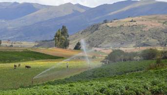 En los &uacute;ltimos 4 a&ntilde;os, el Fondo Mi Riego ha permitido irrigar m&aacute;s de 250 mil hect&aacute;reas de cultivos en la sierra