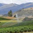 En los &uacute;ltimos 4 a&ntilde;os, el Fondo Mi Riego ha permitido irrigar m&aacute;s de 250 mil hect&aacute;reas de cultivos en la sierra - Este programa de riego ha transferido los fondos necesarios para que 200,000 familias de la sierra puedan mejorar sus sistemas de irrigaci&oacute;n